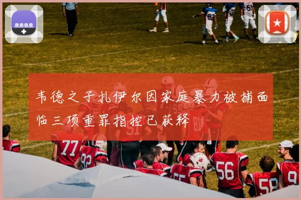 韦德之子扎伊尔因家庭暴力被捕面临三项重罪指控已获释