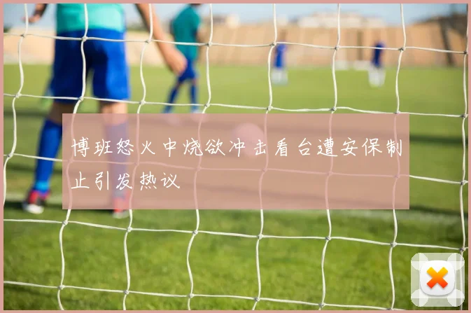 博班怒火中烧欲冲击看台遭安保制止引发热议